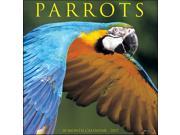 Parrots Wall Calendar by Willow Creek Press
