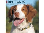 Just Brittanys Wall Calendar by Willow Creek Press