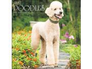 Just Poodles Wall Calendar by Willow Creek Press