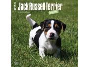 Jack Russell Terrier Puppies Wall Calendar by BrownTrout