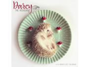 Darcy the Hedgehog Wall Calendar by ACCO Brands