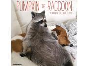 Pumpkin the Raccoon Wall Calendar by Willow Creek Press