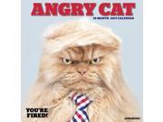 Angry Cat Wall Calendar by Willow Creek Press