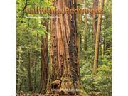 California Redwoods Wall Calendar by Apollo