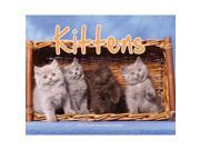 Kittens Desk Calendar by Wyman Publishing