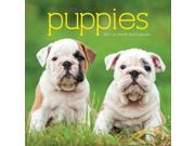 Puppies Wall Calendar by Leap Year Publishing