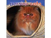 Cats Persian Magnum Wall Calendar by Magnum Publications