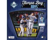 Tampa Bay Rays Wall Calendar by Turner Licensing
