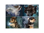Seth Casteel Underwater Puppies 1000 Piece Puzzle by Willow Creek Press