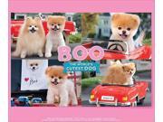 Boo The World s Cutest Dog 1000 Piece Puzzle by Go! Games