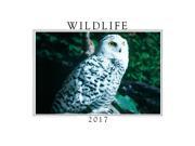 Wildlife Wall Calendar by Creative Arts Publishing