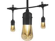 Enbrighten Café LED Lights Vintage Edition 48 ft 12 Bulbs 35631