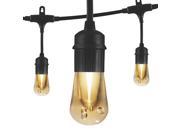 Enbrighten LED Vintage Cafe String Lights, 12-Foot 6 Acrylic Bulbs, 35626