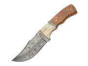 SZCO Supplies DM 1079 Damascus Buffalo Skinning Knife with Bone and Burlwood Handle DM1079