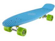 Ridge Big Brother Large Retro Mini Cruiser Skateboard