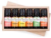 FRUITS 6 Essential Oil Sampler Set. Includes 100% Pure Undiluted Essential Oils of Sweet Orange Pink Grapefruit Lime Lemon Tangerine Mandarin. 10 ml ea