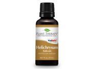 Helichrysum italicum Essential Oil. 30 ml 1 oz . 100% Pure Undiluted Therapeutic Grade.