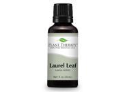 Laurel Leaf Essential Oil. 30 ml 1 oz 100% Pure Undiluted Therapeutic Grade.