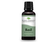 Basil Essential Oil. 100 ml 3.3 oz . 100% Pure Undiluted Therapeutic Grade.