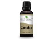 Camphor Essential Oil. 30 ml 1 oz . 100% Pure Undiluted Therapeutic Grade.