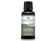 Tea Tree Melaleuca Essential Oil. 30 ml 1 oz . 100% Pure Undiluted Therapeutic Grade.