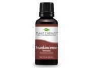 Frankincense serrata Essential Oil. 30 ml 1 oz . 100% Pure Undiluted Therapeutic Grade.