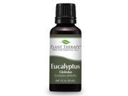 Eucalyptus Globulus Essential Oil. 30 ml 1 oz . 100% Pure Undiluted Therapeutic Grade.