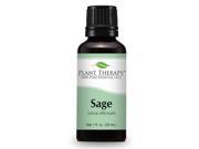 Sage Essential Oil. 30 1 oz ml. 100% Pure Undiluted Therapeutic Grade.