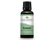 Fennel sweet Essential Oil. 30 ml 1 oz . 100% Pure Undiluted Therapeutic Grade.