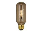 40W Incandescent Vintage Light Bulb 120 Volt Feit Electric Light Bulbs