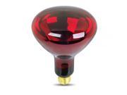 2Pk 250W Red Heat Lamp Feit Electric Light Bulbs 250R40 R 2 017801474923