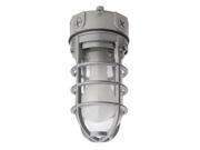 Lithonia Lighting OVT 150I 120 M6 Vapor Tight Incandescent Lamp 150 Watts