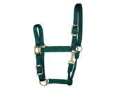 Hamilton 1QAS LGDG Green Nylon Halter For Horse Large