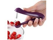New Style Cherry Nuclear Corer Creative Kitchen Gadgets Convenient and Efficient Fruit Nuclear Corer Cherry Clip Salad Tools