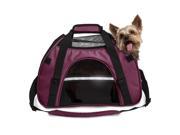 Small Pet Tote with Weather Guard Raspberry