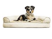 Med Plush Suede Sofa Pet Bed Clay