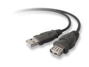 Belkin USB 2.0 Extension Cable F3U134b16