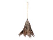 Boardwalk 31FD Professional Ostrich Feather Duster 16 in. Handle