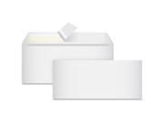 Peel To Seal Envelopes No. 10 100 BX White