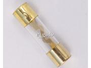 60 AMP AGU Fuse Glass Style Gold Plated 60AMP 60A Audio Car RV Boat