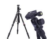 Sinno M 2522Z Pro SLR Camera Tripod Portable Adjustable Monopod with Ball Head