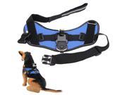Hound Dog Fetch Harness Chest Strap Belt Mount for GoPro Hero 4 3 3 2 1 Blue