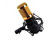Foxnovo Studio Broadcasting Webcast Podcast Condenser Microphone Mic with Shock Mount