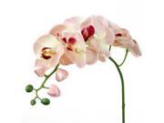 Foxnovo Artificial Butterfly Orchid Flower Plant Home Decoration