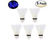 FOXNOVO 5pcs Novelty Sports Dark Night LED Glowing Light up Badminton Birdies Shuttlecocks Blue Light