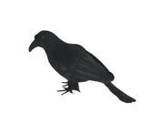 Foxnovo Artificial Crow Black Bird Raven Prop Decor For Halloween Display Foxnovo Artificial Crow Black Bird Raven Prop Decor For Halloween Display