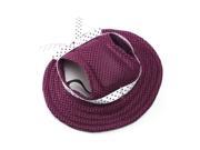 Foxnovo Pet Dog Mesh Porous Sun Cap Hat with Ear Holes for Small Dogs Size S Purple