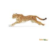 Cheetah Wildlife Safari Ltd