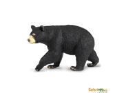 Black Bear North American Wildlife Safari