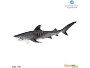 Tiger Shark Sea Life Safari Ltd